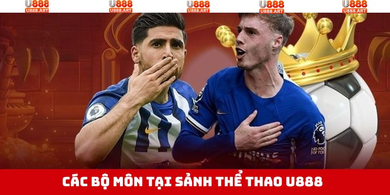 Những bộ môn cá cược thể thao hấp dẫn tại sân chơi