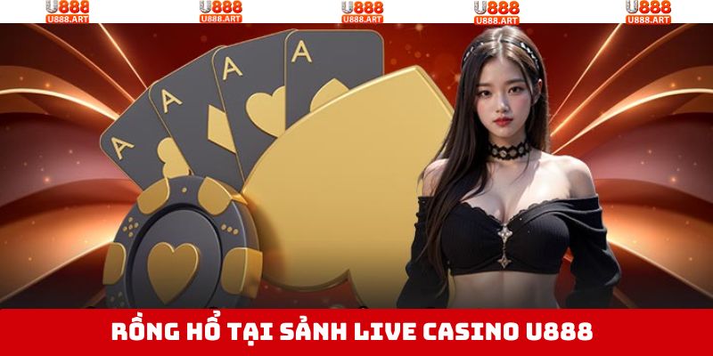 Tham gia Rồng Hổ nhận thưởng nhanh chóng