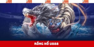 Rồng Hổ U888 - Game Bài Siêu Tốc, Dễ Chơi, Dễ Trúng Thưởng