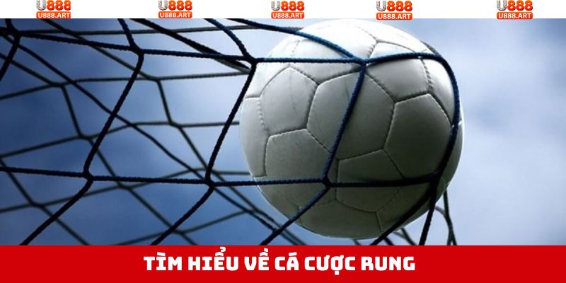 Cược Rung - Cá Độ Bóng Đá Với Cơ Hội Đổi Đời Lớn Hơn Ở U888 2 Khám phá thông tin cơ bản cần biết về cược rung