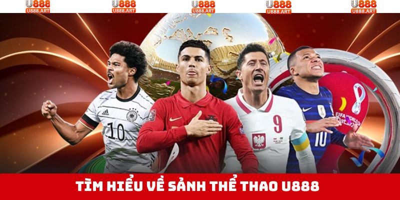 Một vài thông tin tổng quan về sân chơi cá cược thể thao