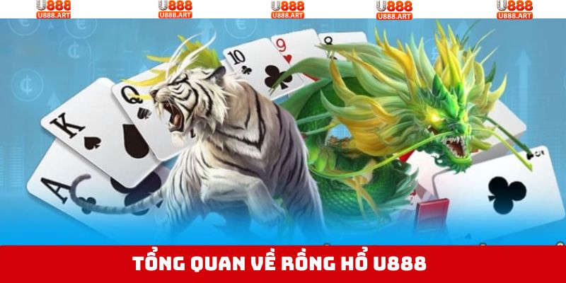 Rồng Hổ U888 - Game Bài Siêu Tốc, Dễ Chơi, Dễ Trúng Thưởng 2 Tổng quát về rồng hổ U888